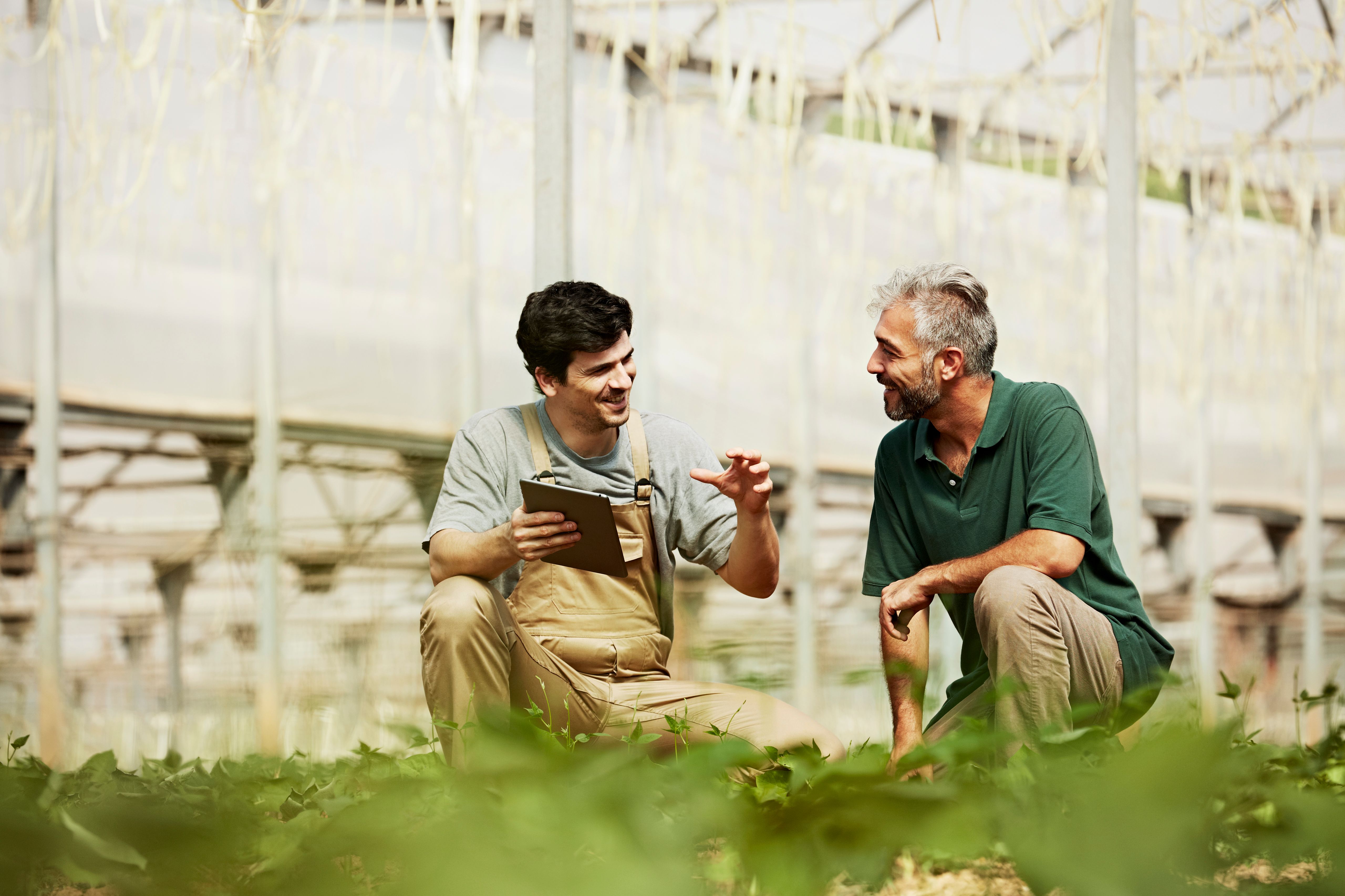We offer protection for your agricultural businesses with farm equipment insurance.