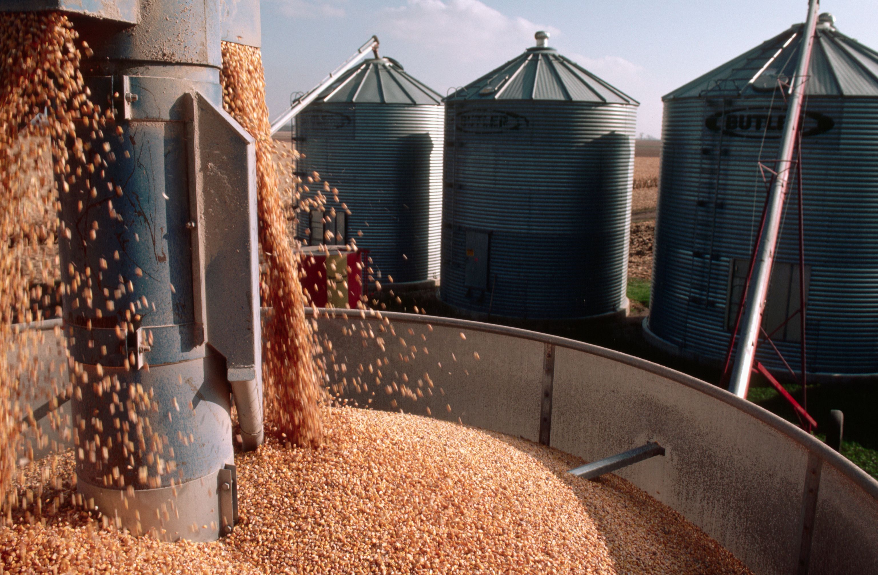 We have a deep understanding of the agriculture industry and offer agricultural insurance risk solutions to address your needs.