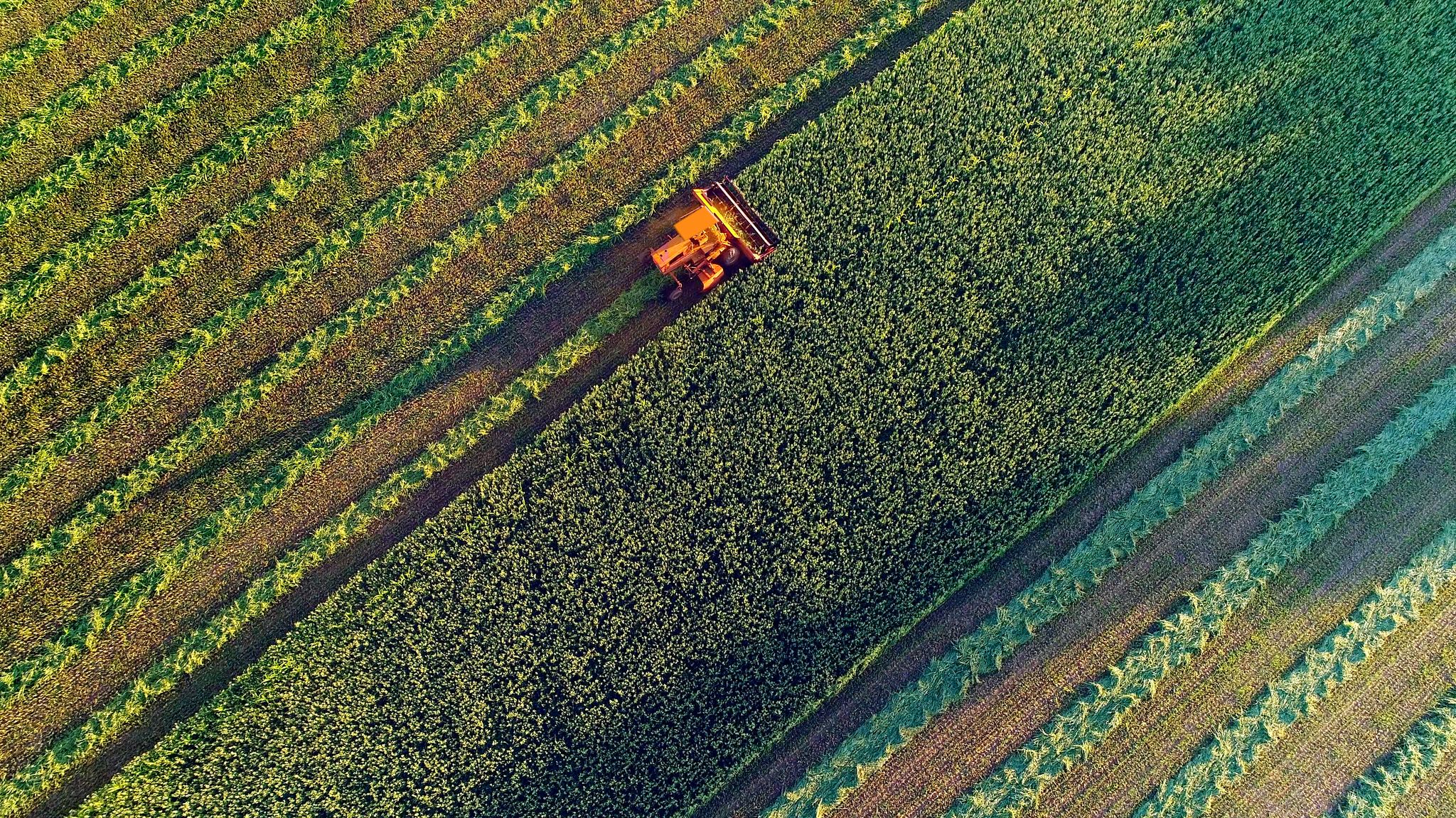 we understand your agricultural insurance and risk management goals and provide coverage for the needs of your business.