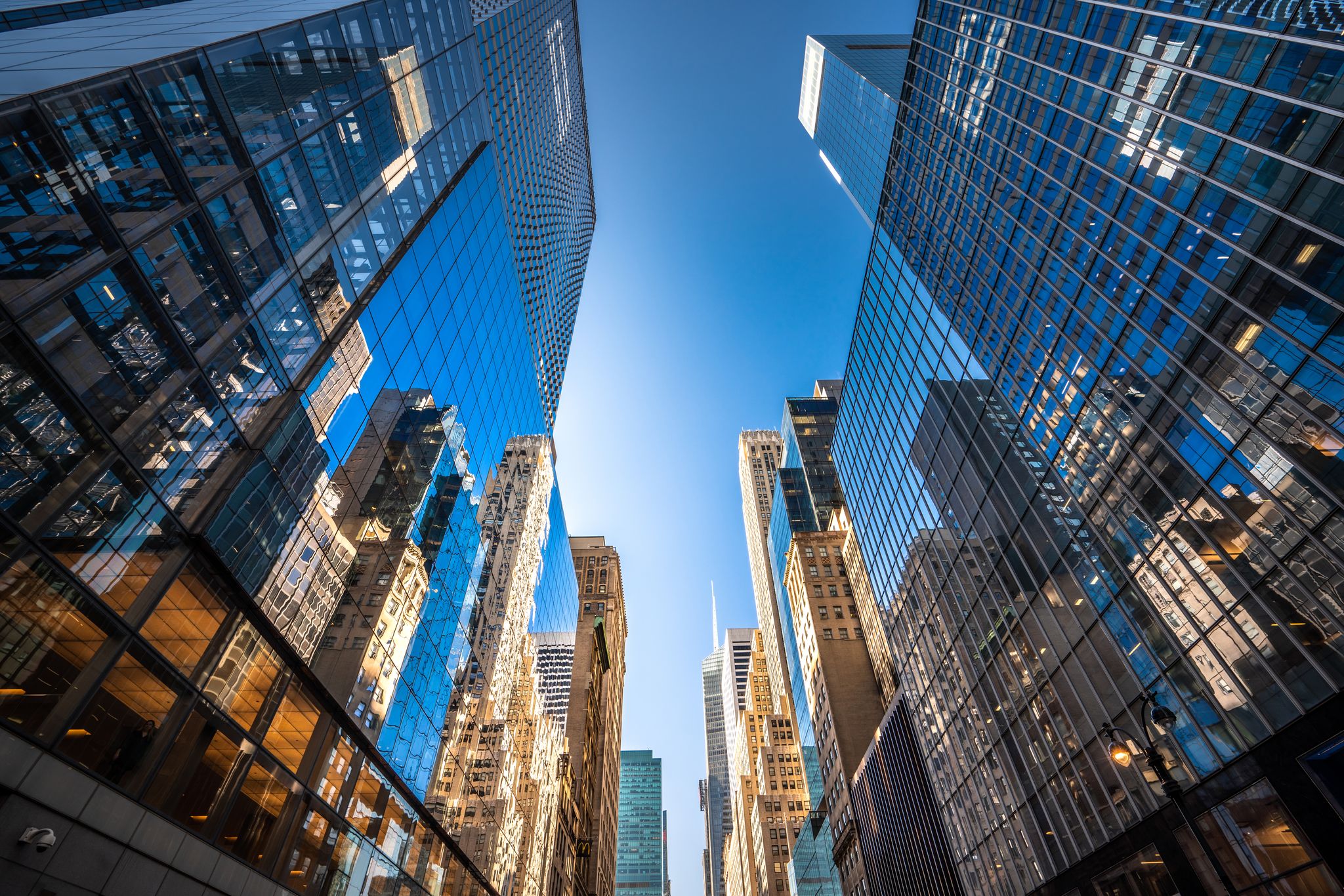 We offer deep financial institution insurance expertise and industry knowledge to help your business thrive.