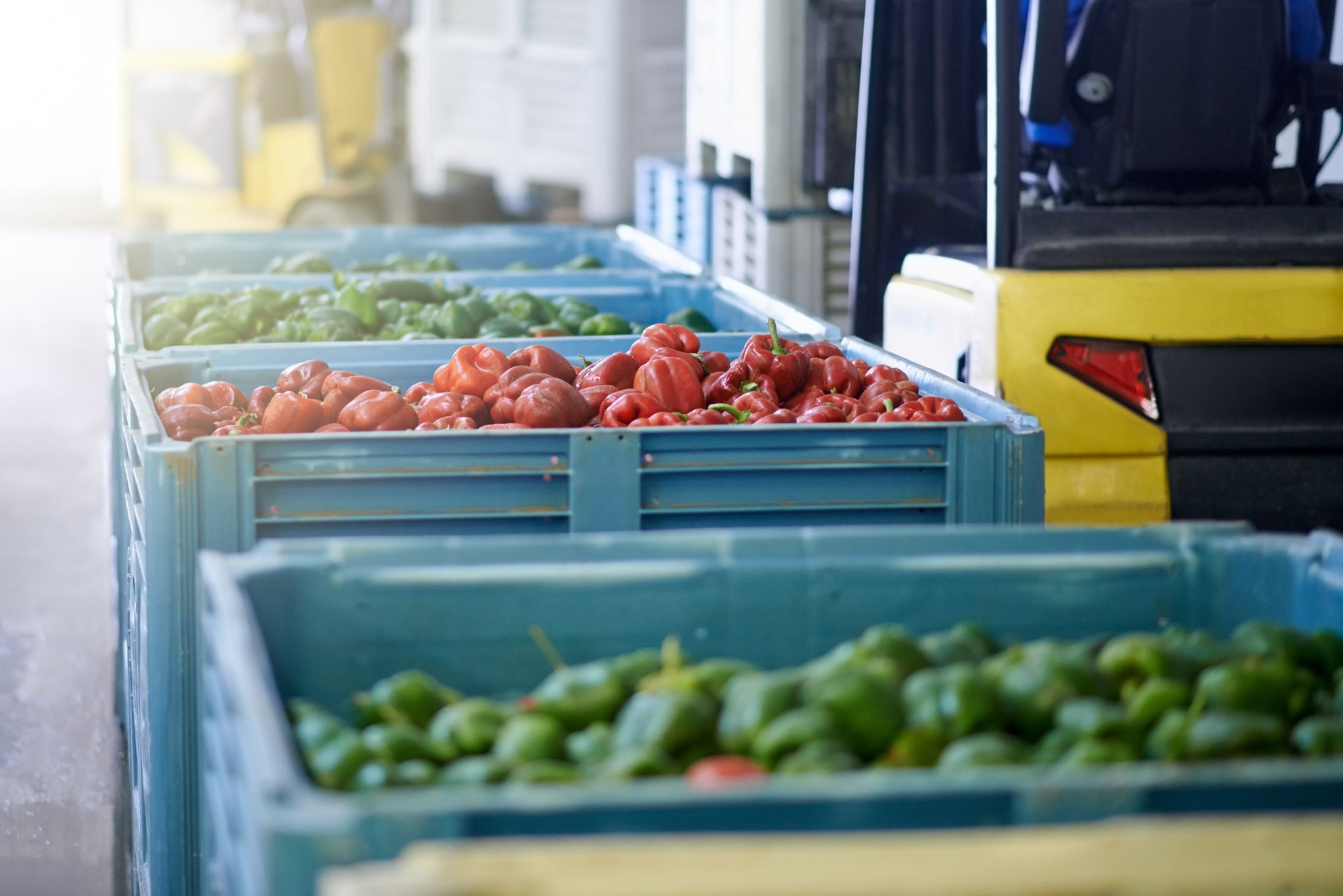 We offer a wide array of specialized agricultural insurance risk solutions.