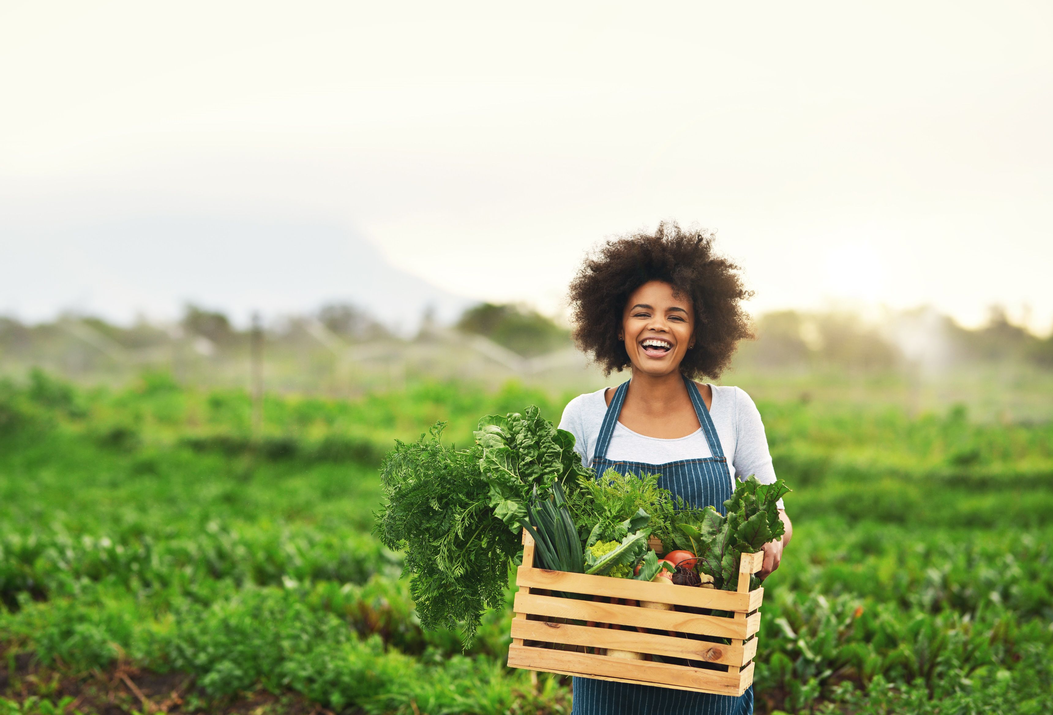 Alliant provides an innovative approach in the development of agricultural insurance and risk solutions.